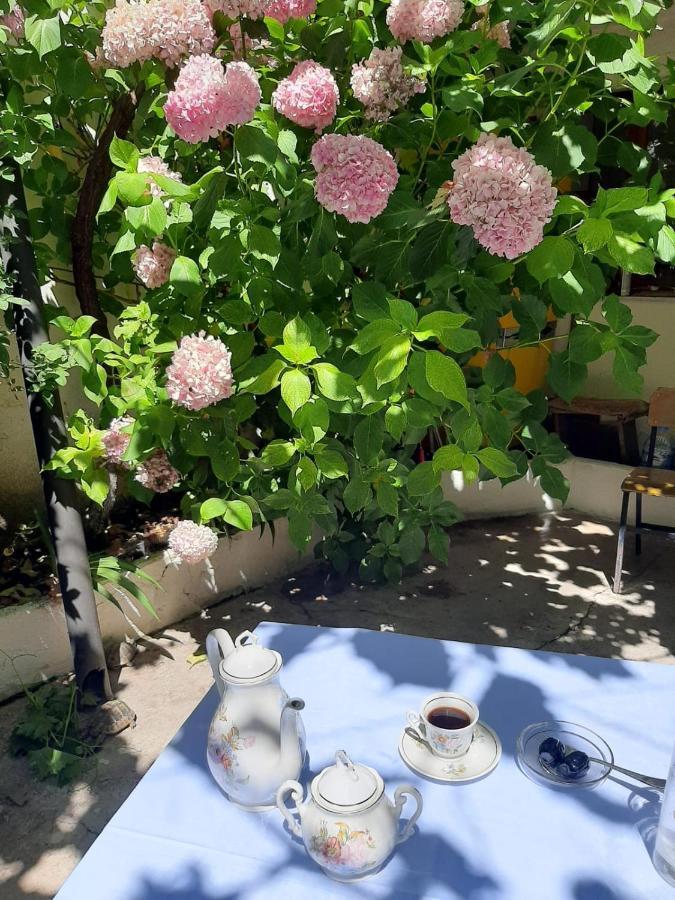 Gjirokastër Vrenjo Guesthouse מראה חיצוני תמונה